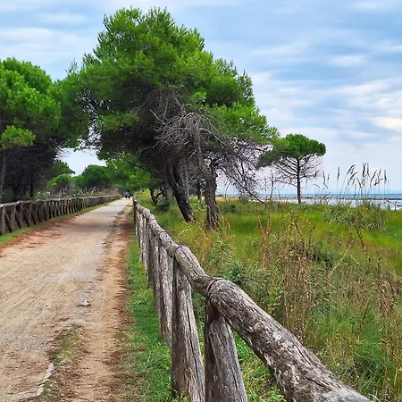 Comfy Seafront With Terrace