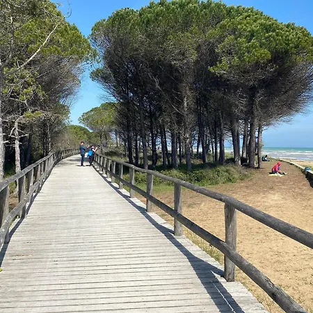 Comfy Seafront With Terrace Lejlighed