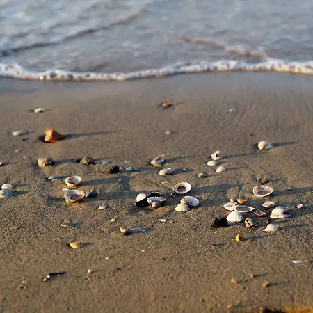 Comfy Seafront With Terrace * Bibione