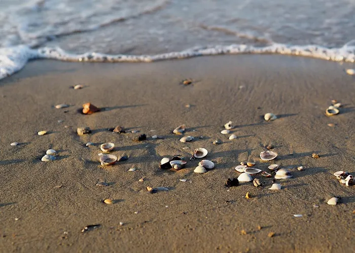 Comfy Seafront With Terrace Bibione