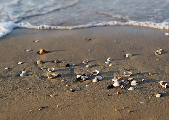 Comfy Seafront With Terrace * Bibione